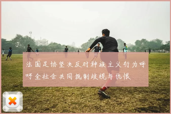 法国足协坚决反对种族主义行为呼吁全社会共同抵制歧视与仇恨