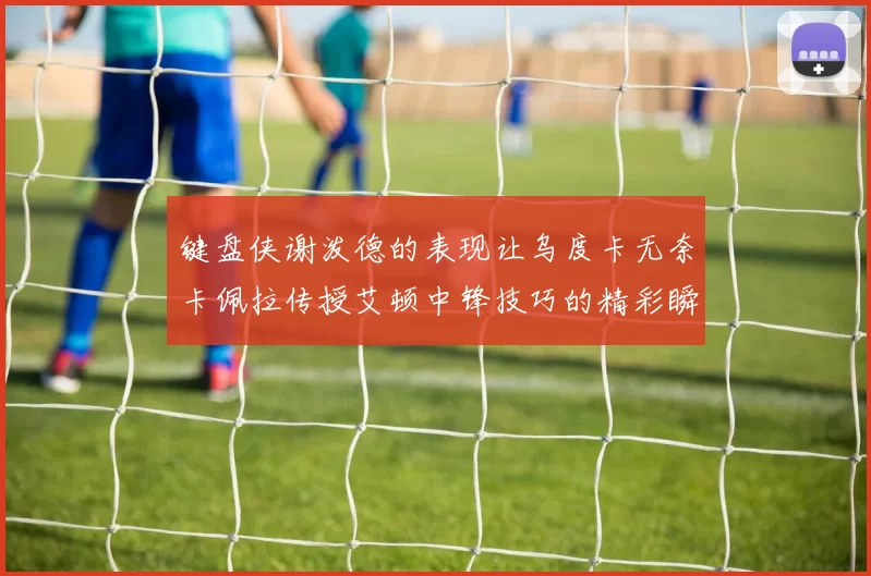 键盘侠谢泼德的表现让乌度卡无奈卡佩拉传授艾顿中锋技巧的精彩瞬间